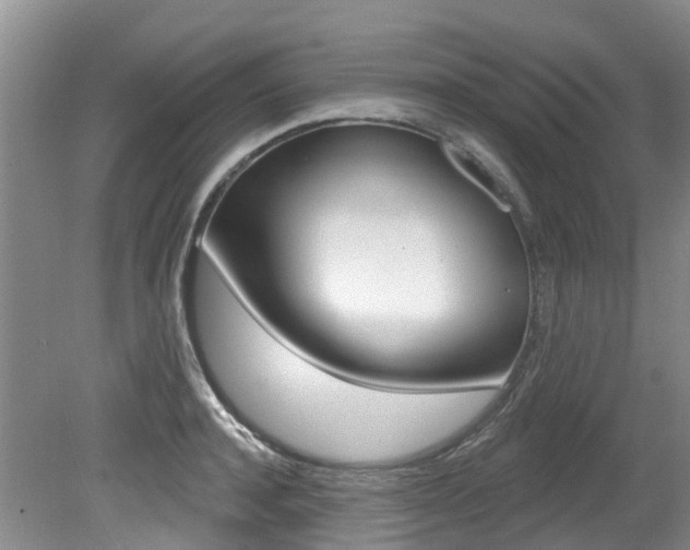 X0000079310944200611170851