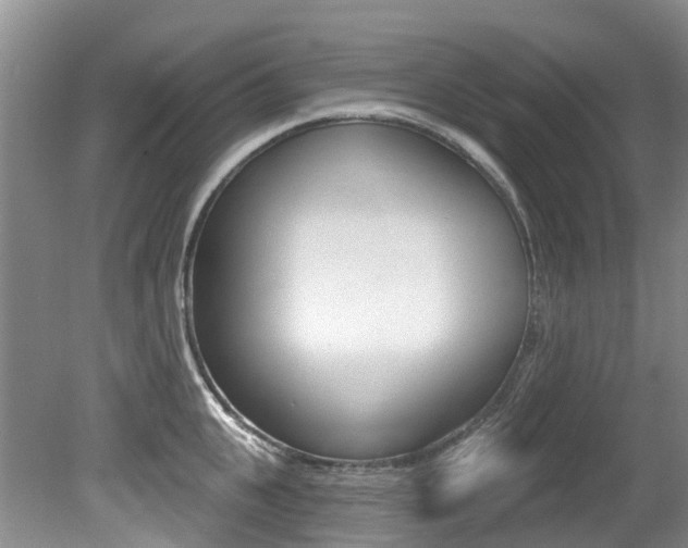 X0000079310951200611170851