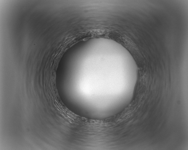 X0000079310961200611170851