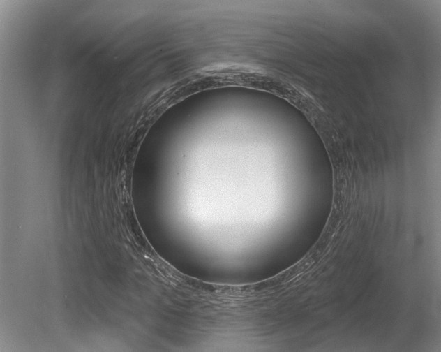 X0000079310965200611170850