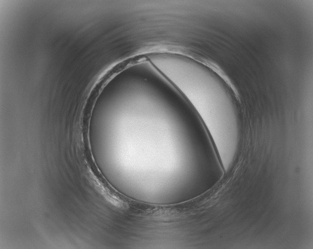 X0000079310972200611170850