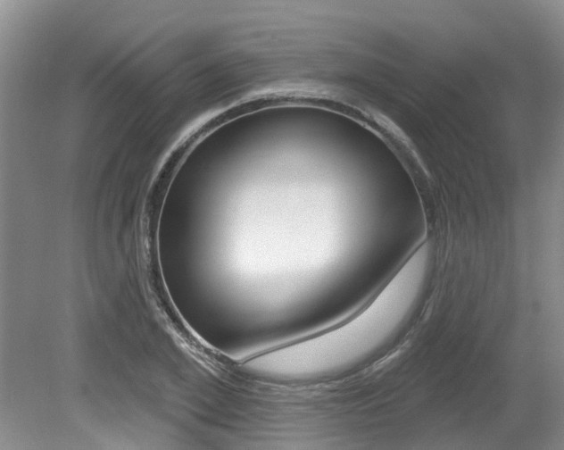 X0000079310981200611170850