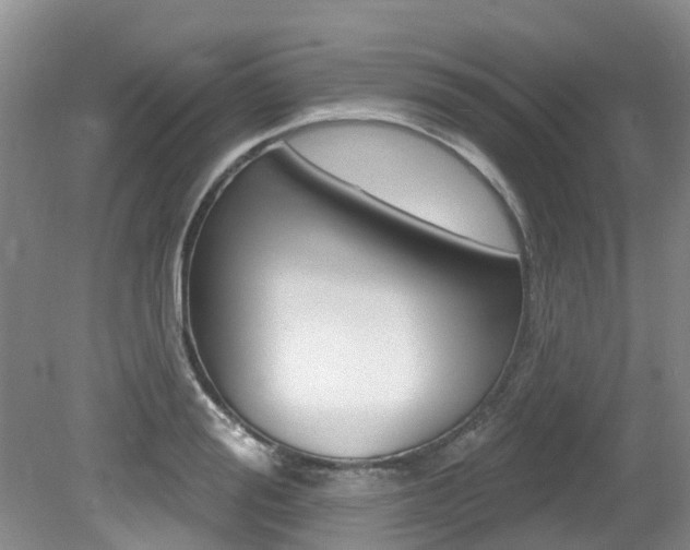 X0000079310988200611170850
