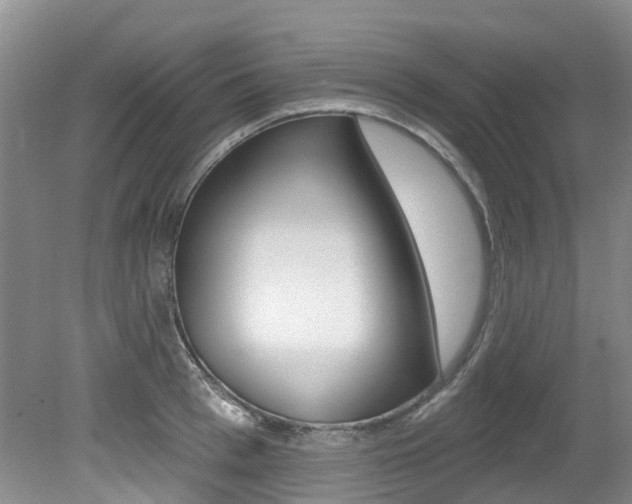 X0000079310993200611170850