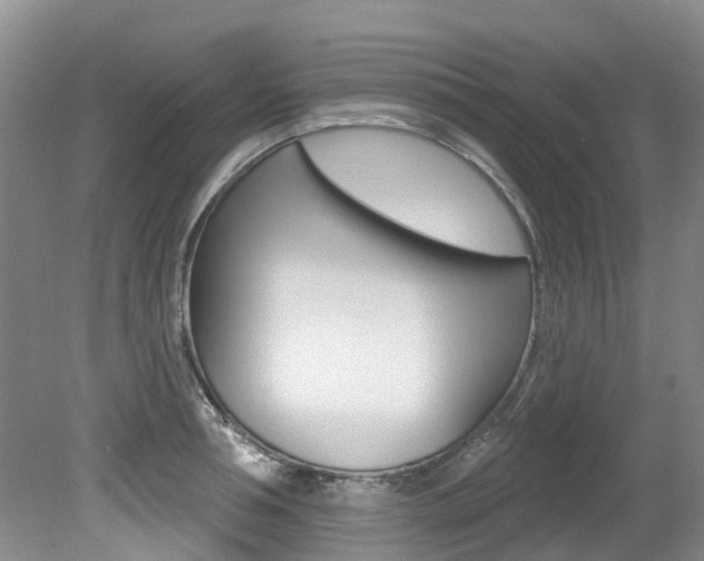 X0000079310994200611170850