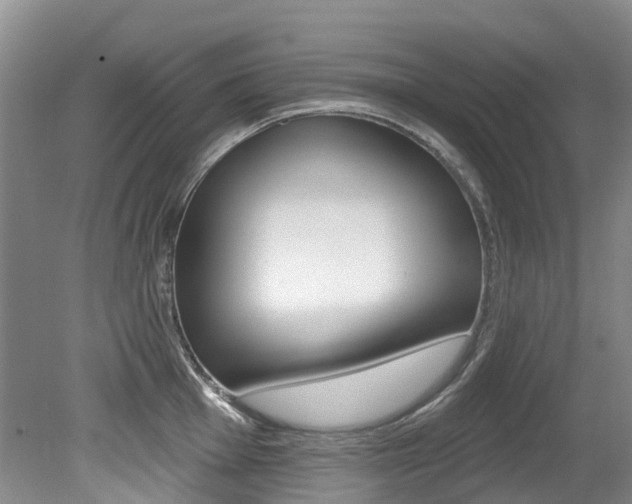 X0000079311001200611170850