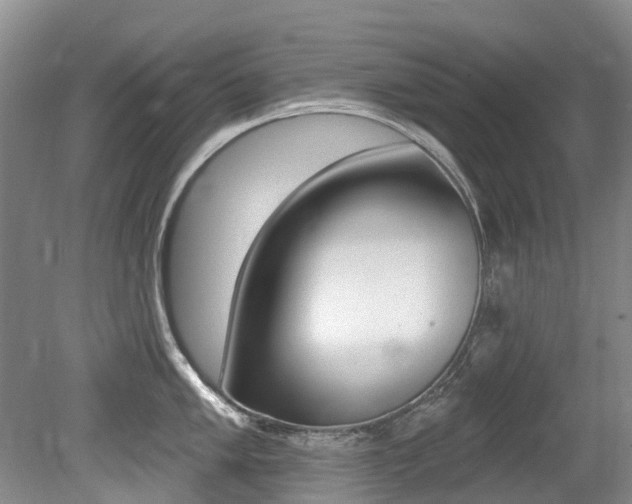 X0000079311005200611170850