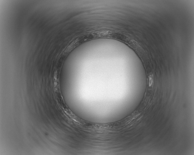X0000079311011200611170849