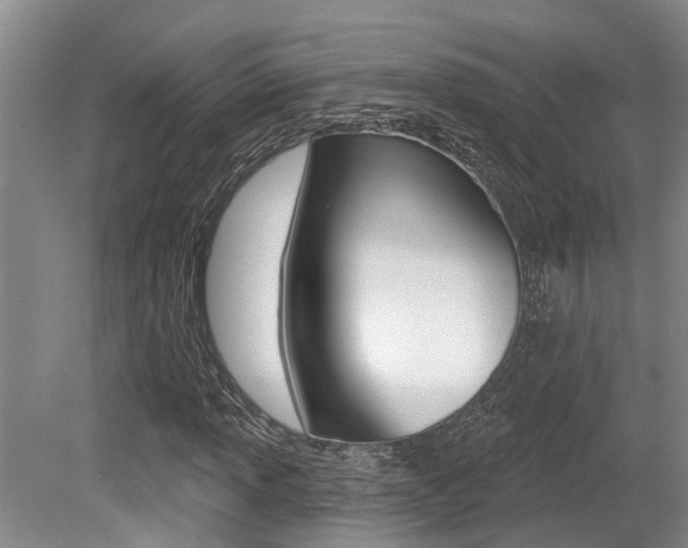 X0000079311013200611170849