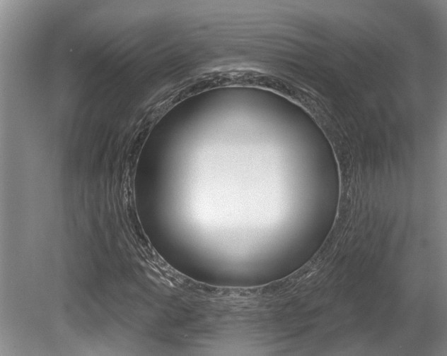 X0000079311014200611170849