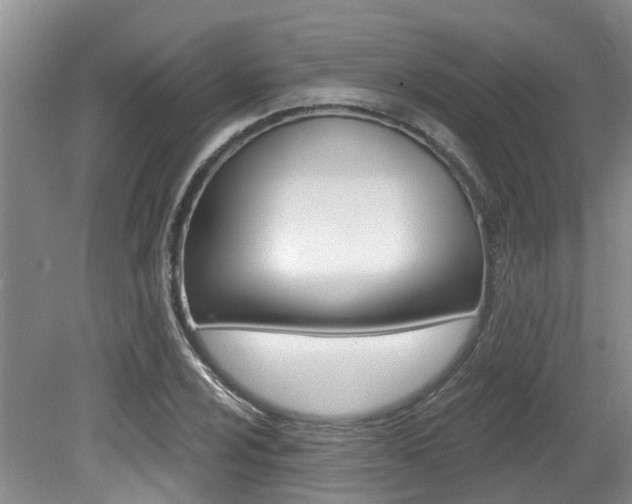 X0000079311024200611170849