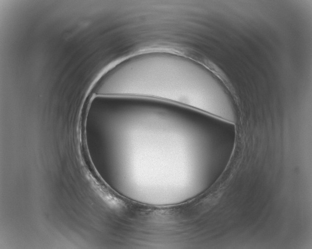 X0000079311028200611170849
