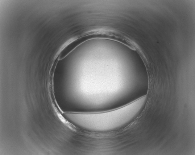 X0000079311042200611170850
