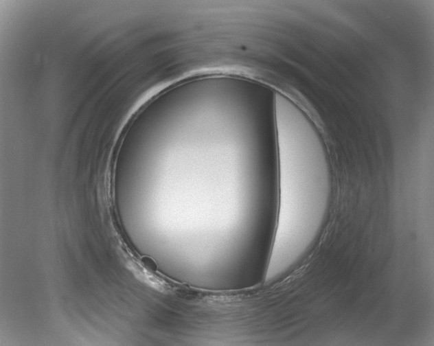 X0000079311044200611170850