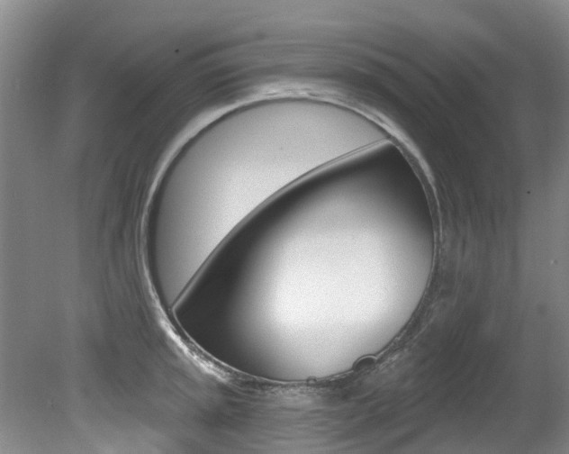 X0000079311045200611170850