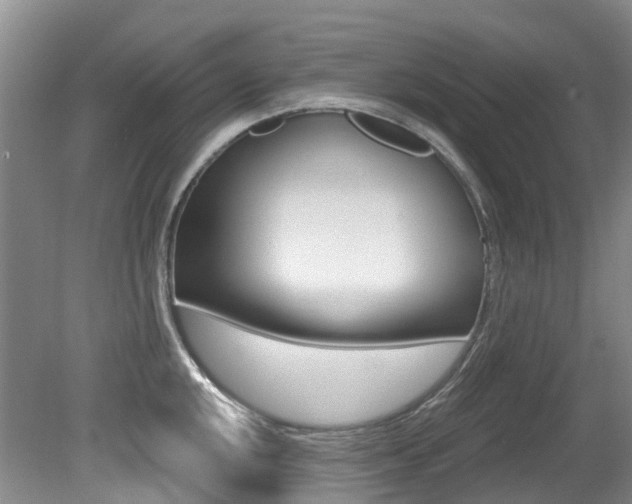 X0000079311048200611170850