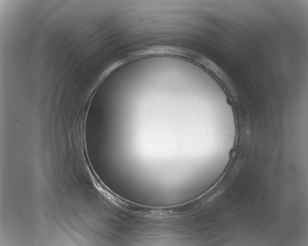 X0000079311049200611170850
