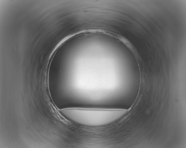 X0000079311052200611170850