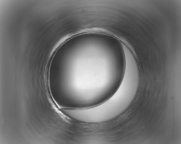 X0000079311054200611170850