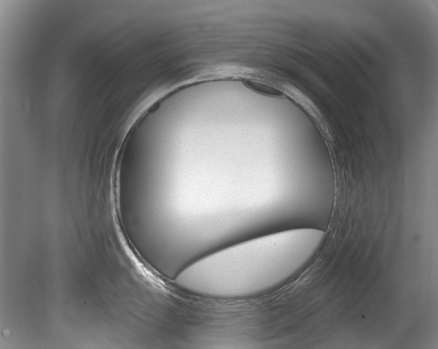 X0000079311055200611170850