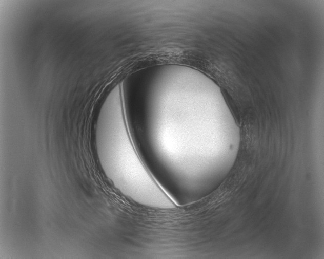X0000079311057200611170849