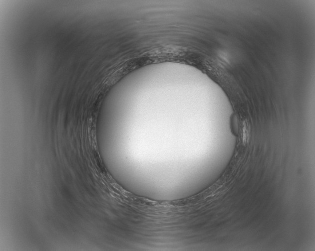 X0000079311059200611170849