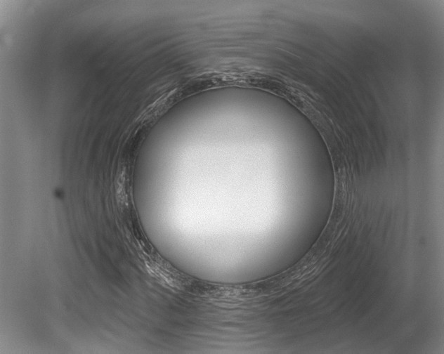 X0000079311060200611170849