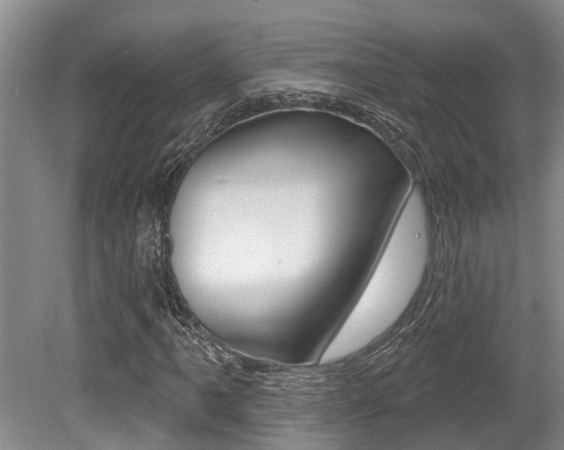 X0000079311061200611170849