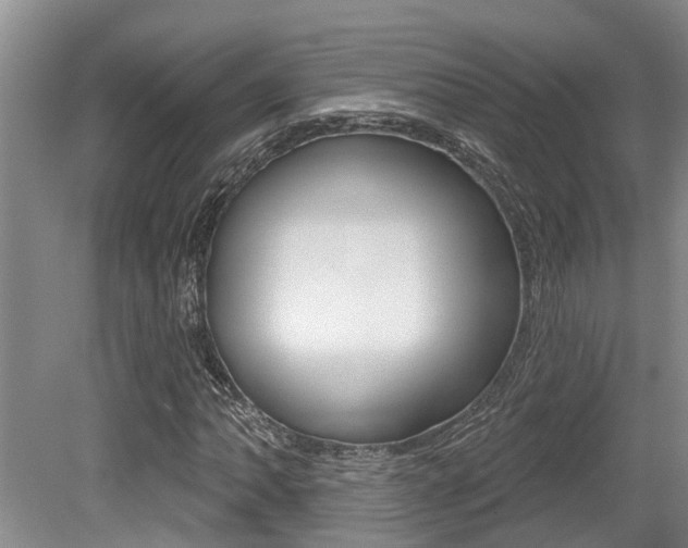 X0000079311062200611170849