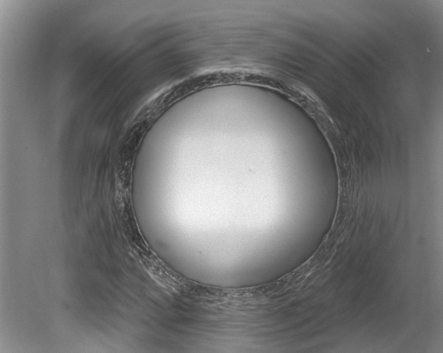 X0000079311064200611170849