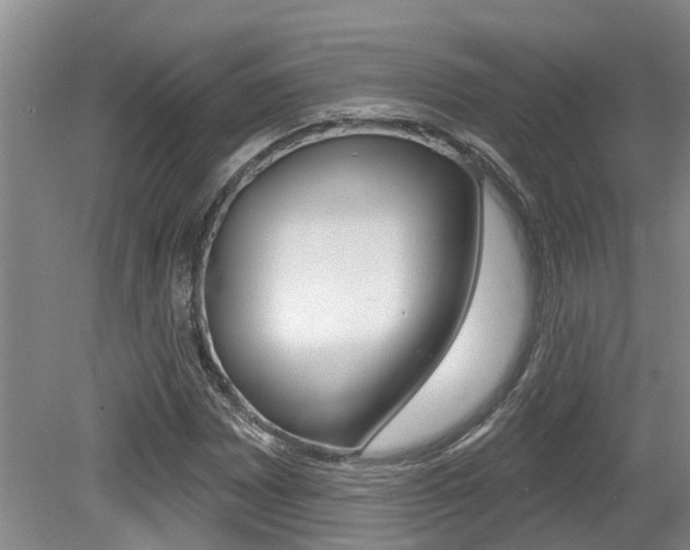 X0000079311065200611170849