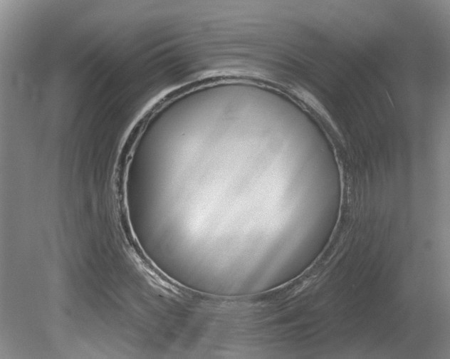 X0000079311068200611170849