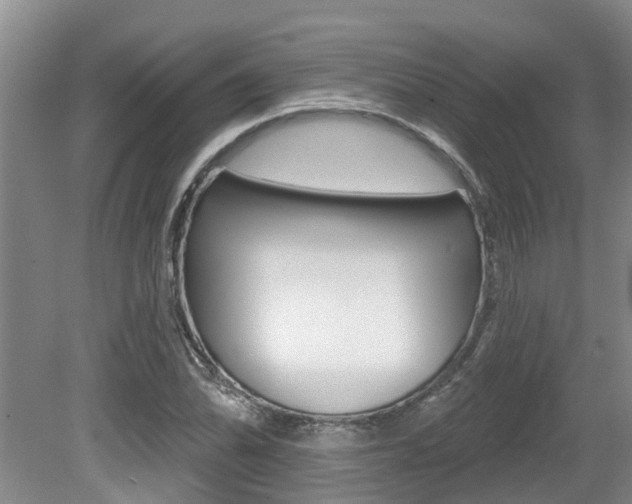 X0000079311070200611170849