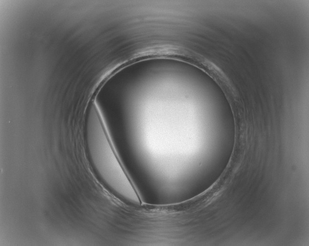 X0000079311081200611170849