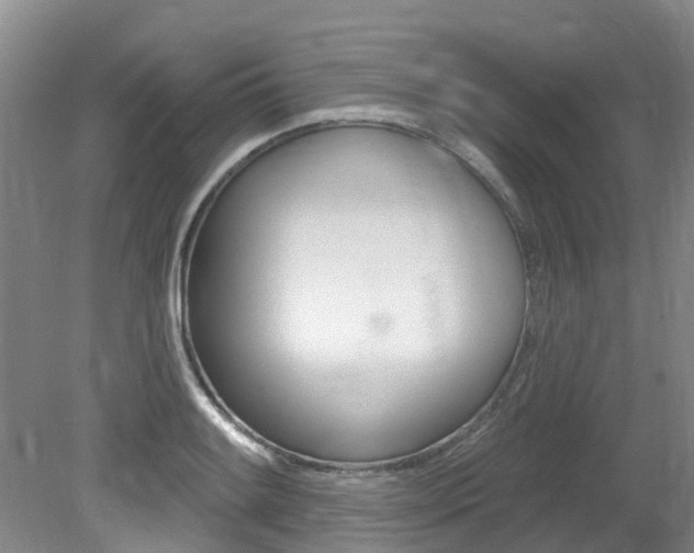 X0000079311084200611170848