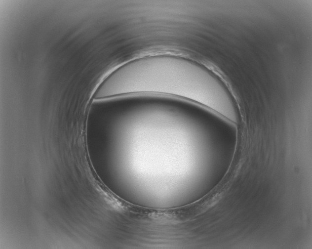 X0000079311089200611170848