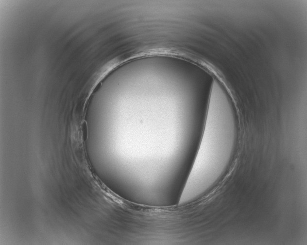 X0000079311097200611170848