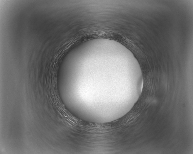 X0000079311105200611170847