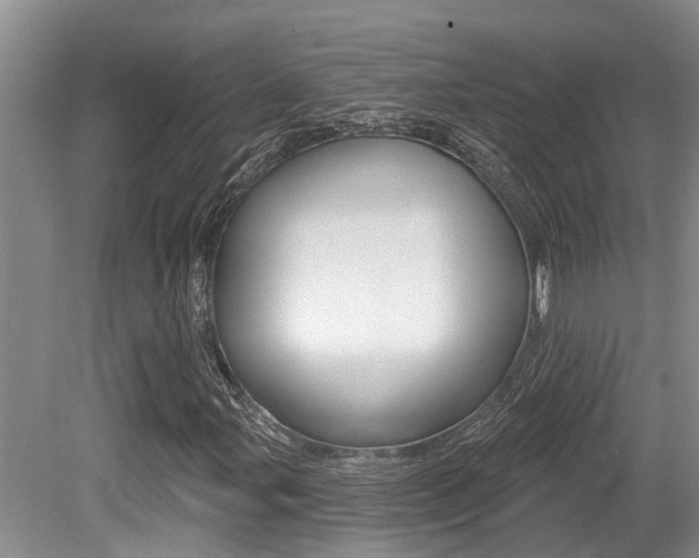 X0000079311107200611170847