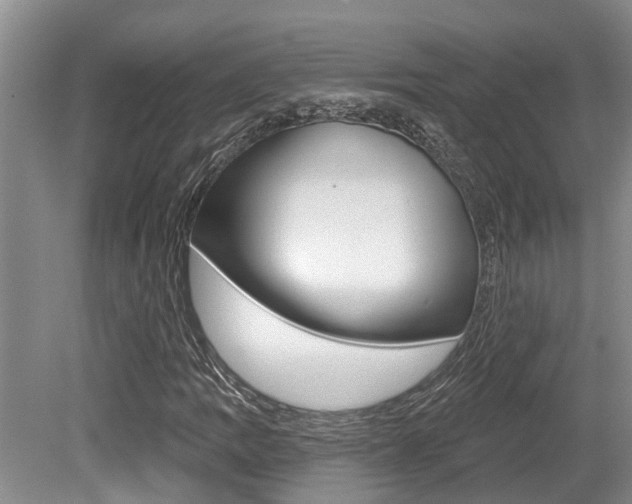 X0000079311109200611170847