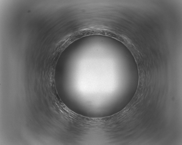 X0000079311110200611170847
