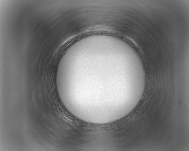 X0000079311112200611170847