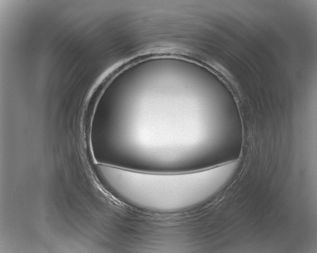 X0000079311120200611170848