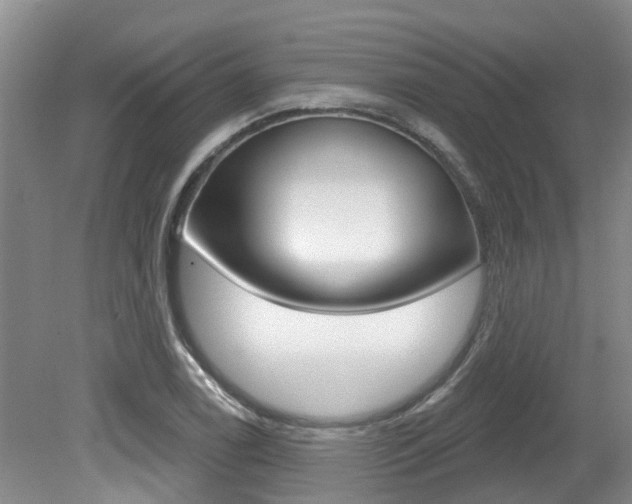 X0000079311122200611170848