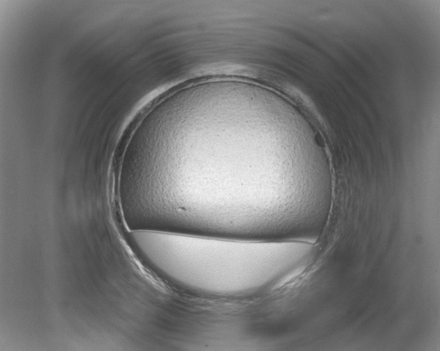 X0000079311125200611170848