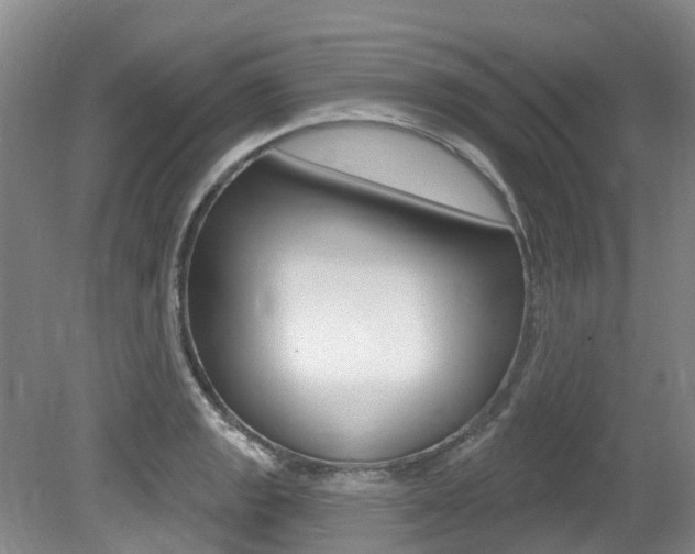 X0000079311133200611170848