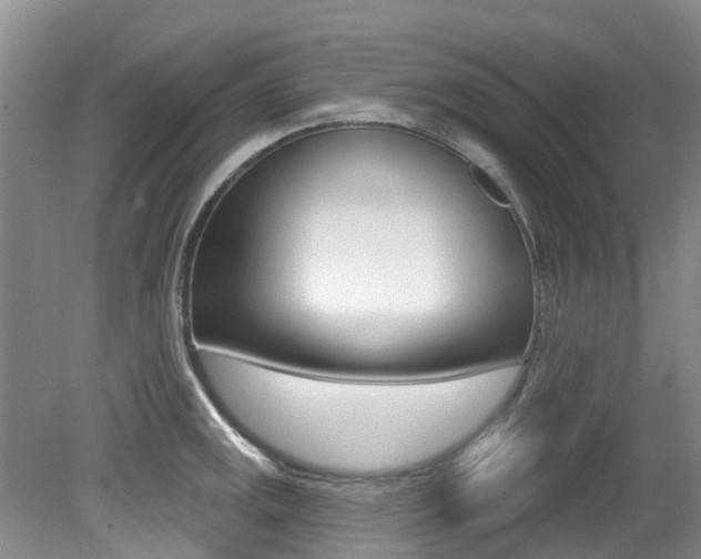 X0000079311141200611170848