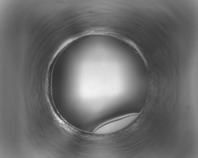 X0000079311147200611170848