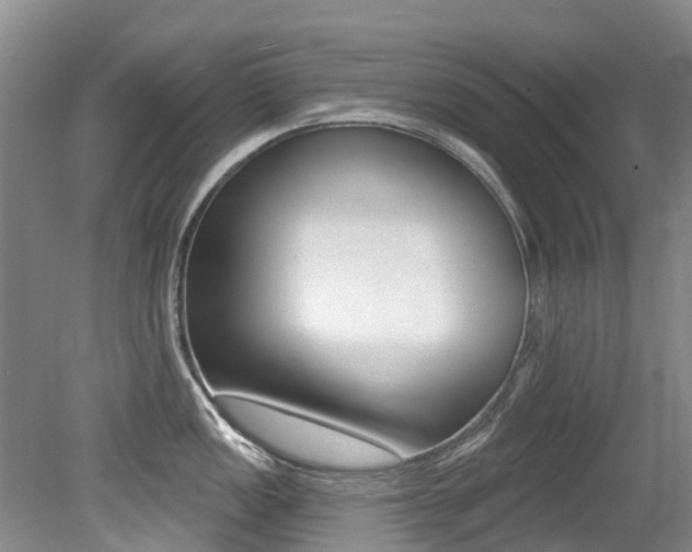 X0000079311149200611170848