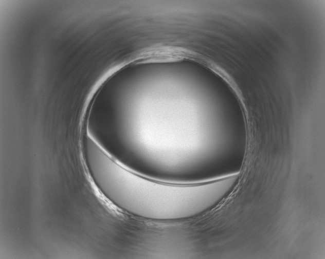 X0000079311152200611170848